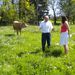 visite d'une exploitation agricole filière viande juin 2012